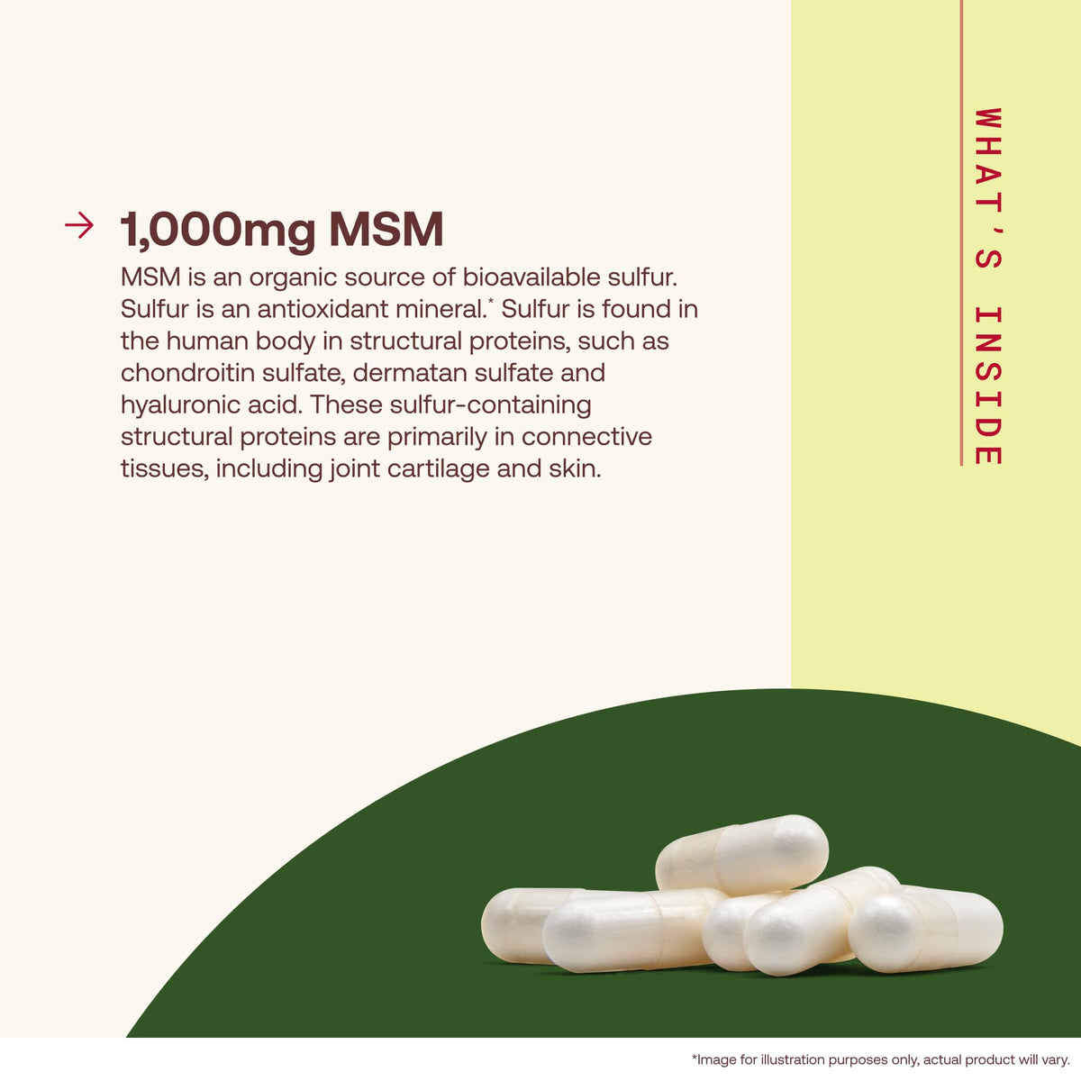 MSM Capsules 1,000 mg 200 Capsules O5697