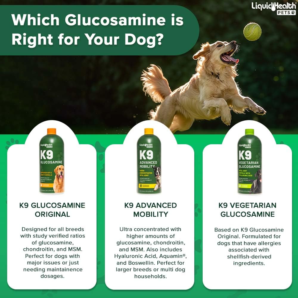 Liquid Glucosamine for Dogs with Chondroitin MSM 32 oz S907