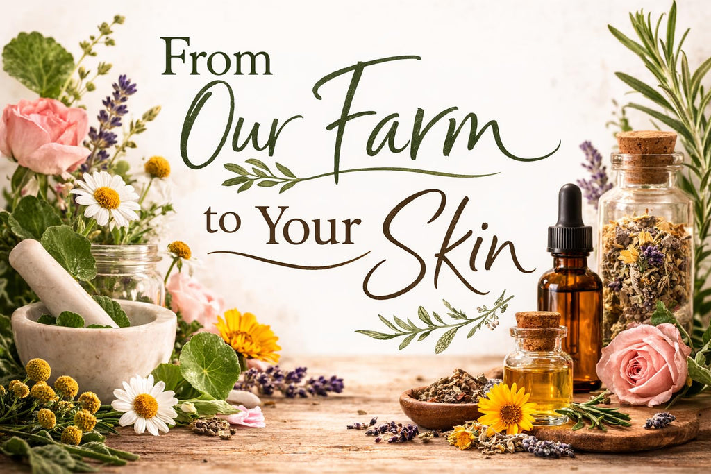 Firming Face Oil with Spilanthes & Gotu Kola, 1 oz D766168