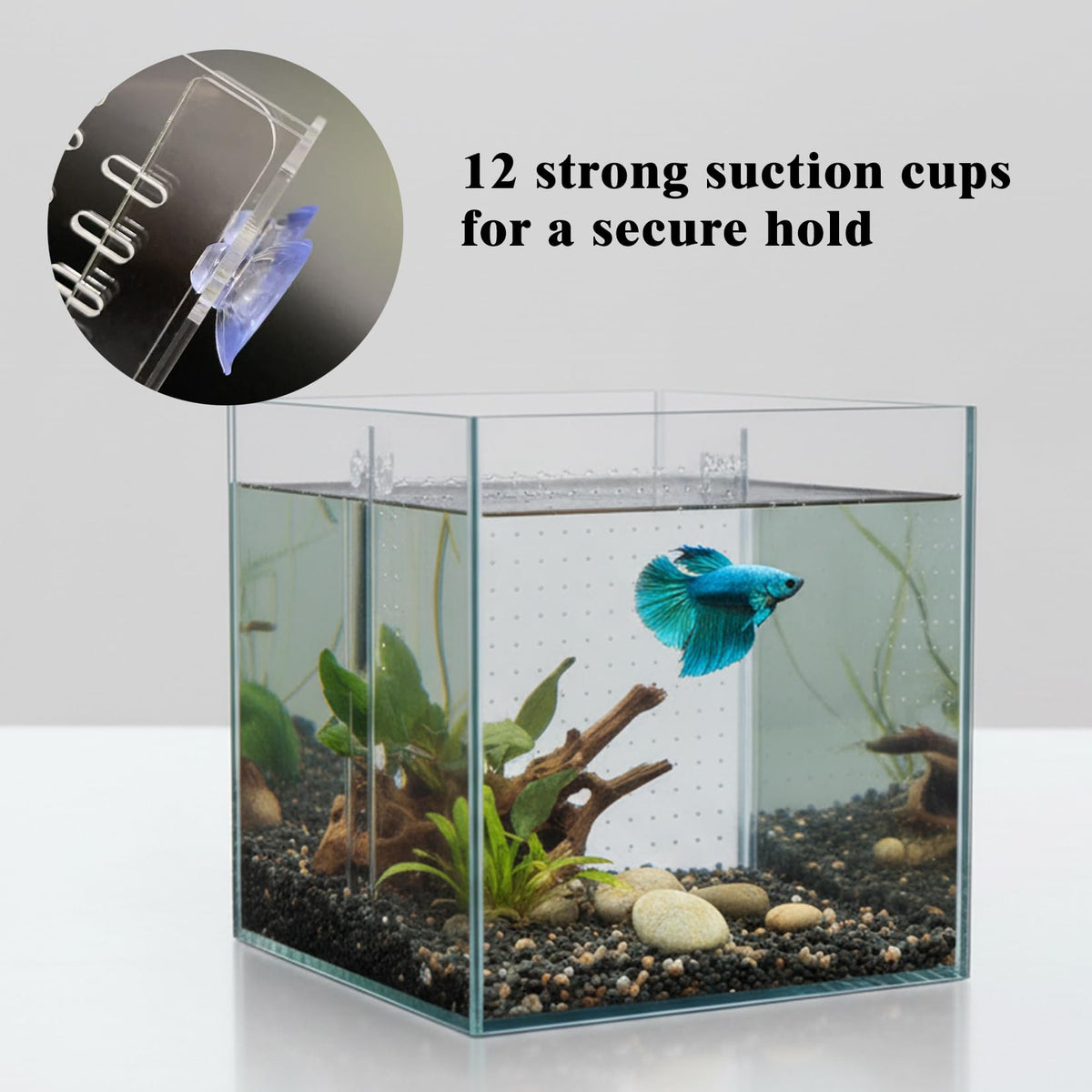 Acrylic Aquarium Divider with Suction Cups O700