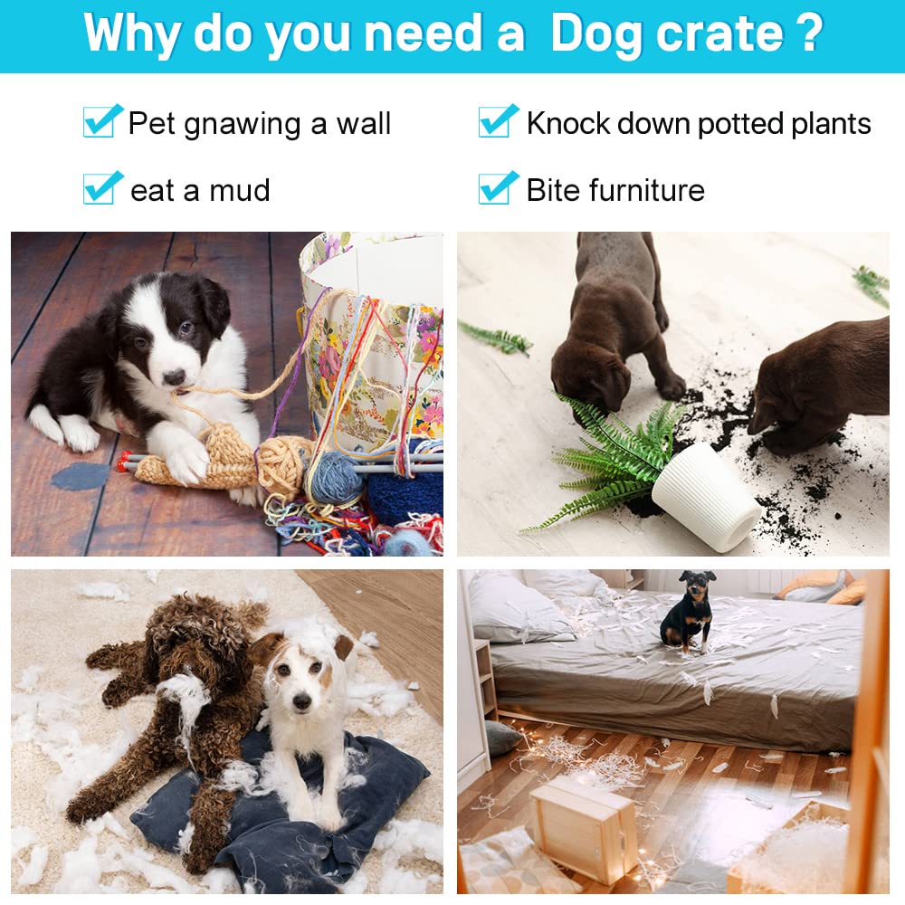 48 Inch Double-Door Dog Crate with Tray & Divider G230446