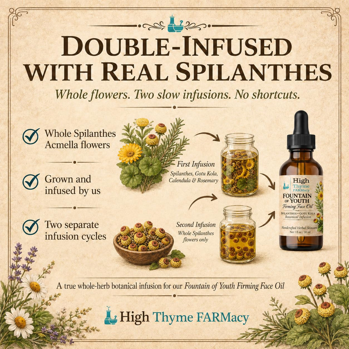 Firming Face Oil with Spilanthes & Gotu Kola, 1 oz D766168
