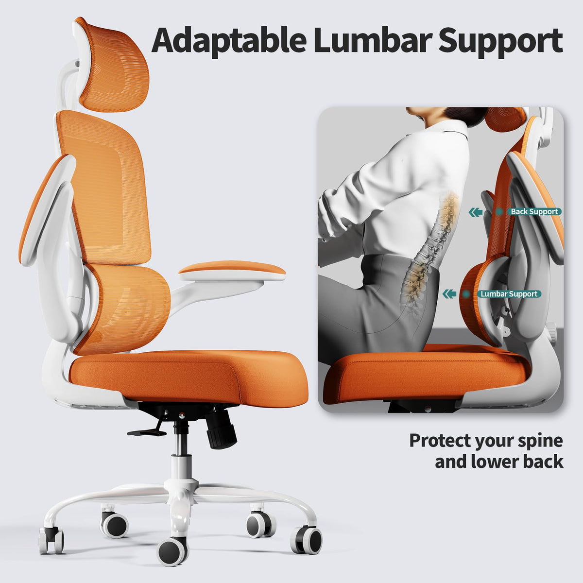 Ergonomic Office Chair with Lumbar Support W2158