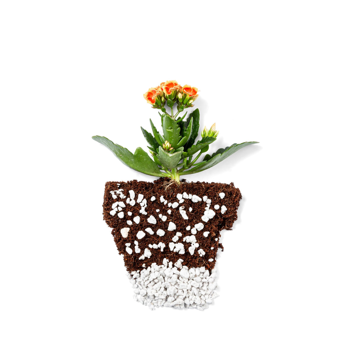 4 Cubic Ft Organic Perlite Soil Amendment W142232