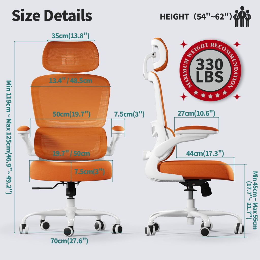 Ergonomic Office Chair with Lumbar Support W2158