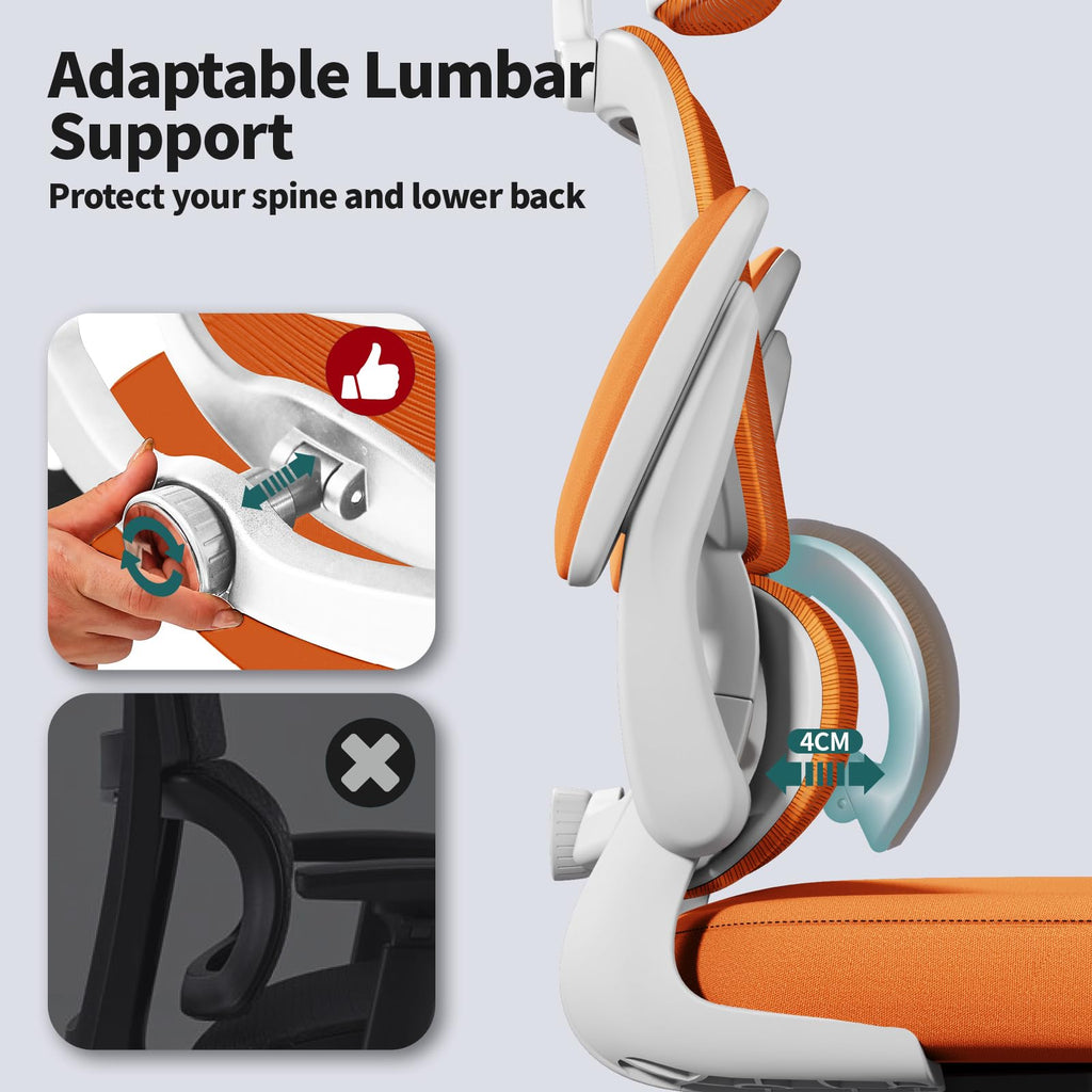 Ergonomic Office Chair with Lumbar Support W2158