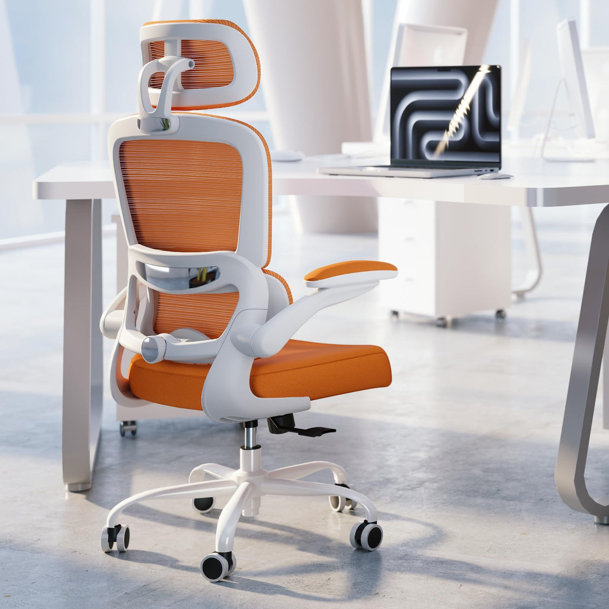 Ergonomic Office Chair with Lumbar Support W2158