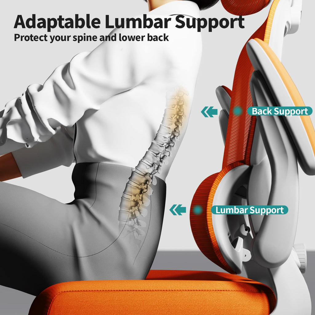 Ergonomic Office Chair with Lumbar Support W2158