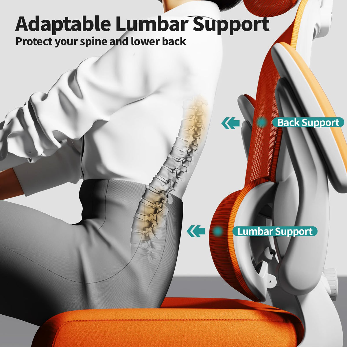 Ergonomic Office Chair with Lumbar Support W2158