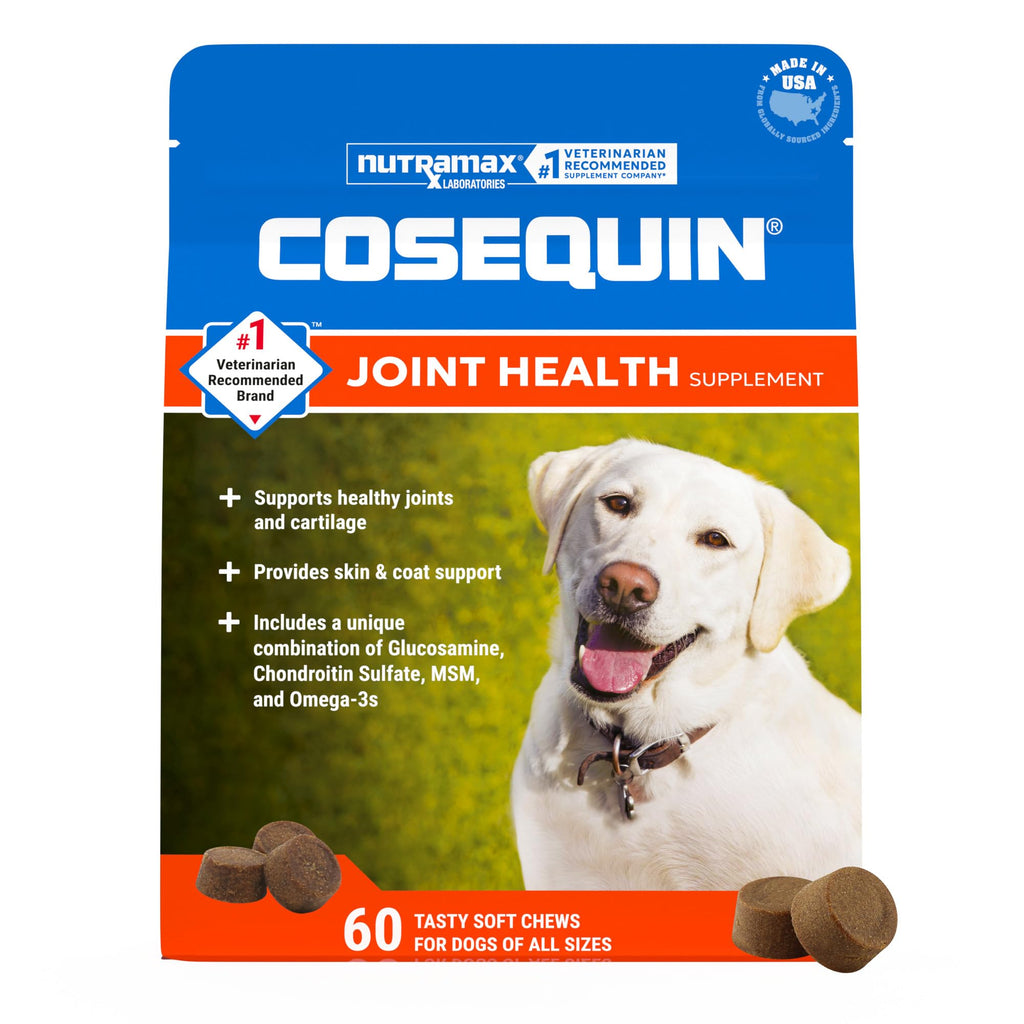 Dog Joint Supplement Soft Chews 60ct R581