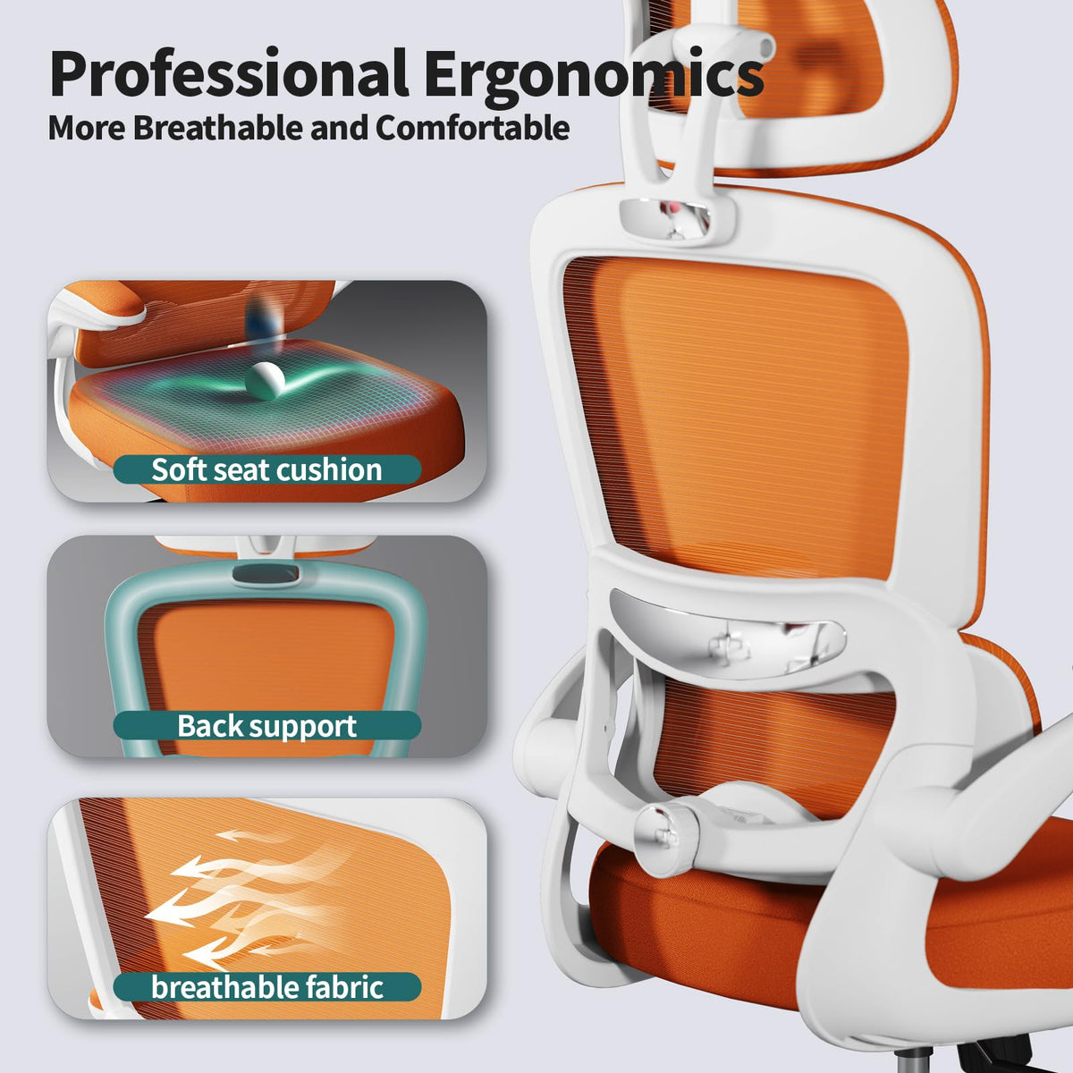 Ergonomic Office Chair with Lumbar Support W2158