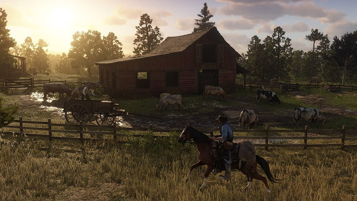 Red Dead Redemption 2 PS4 P495
