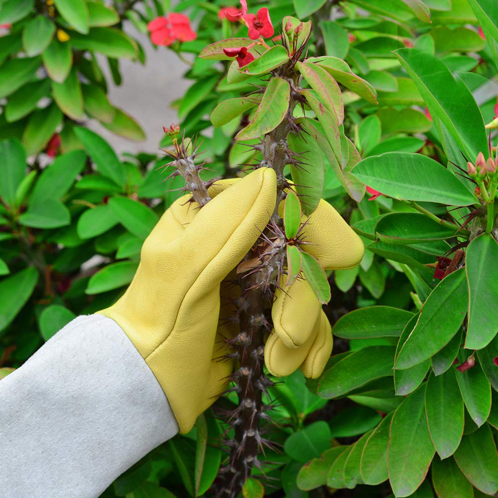 Long Leather Gardening Gloves with Adjustable Cuff T28483