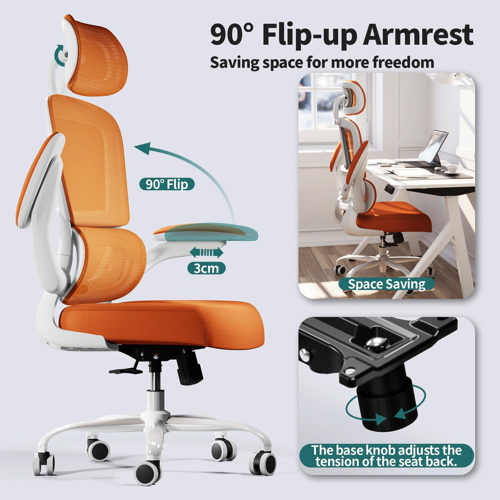 Ergonomic Office Chair with Lumbar Support W2158