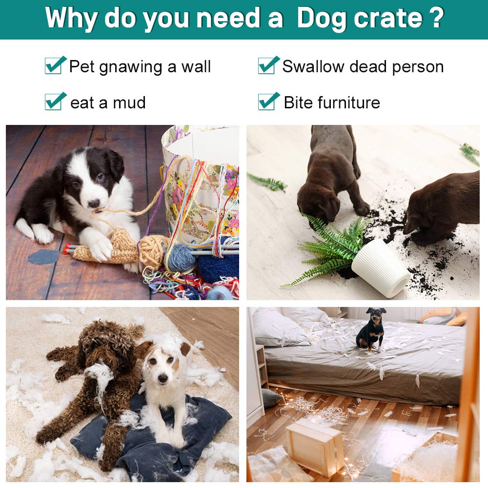 42 Inch Metal Wire Double-Door Folding Dog Crate with Tray U1046