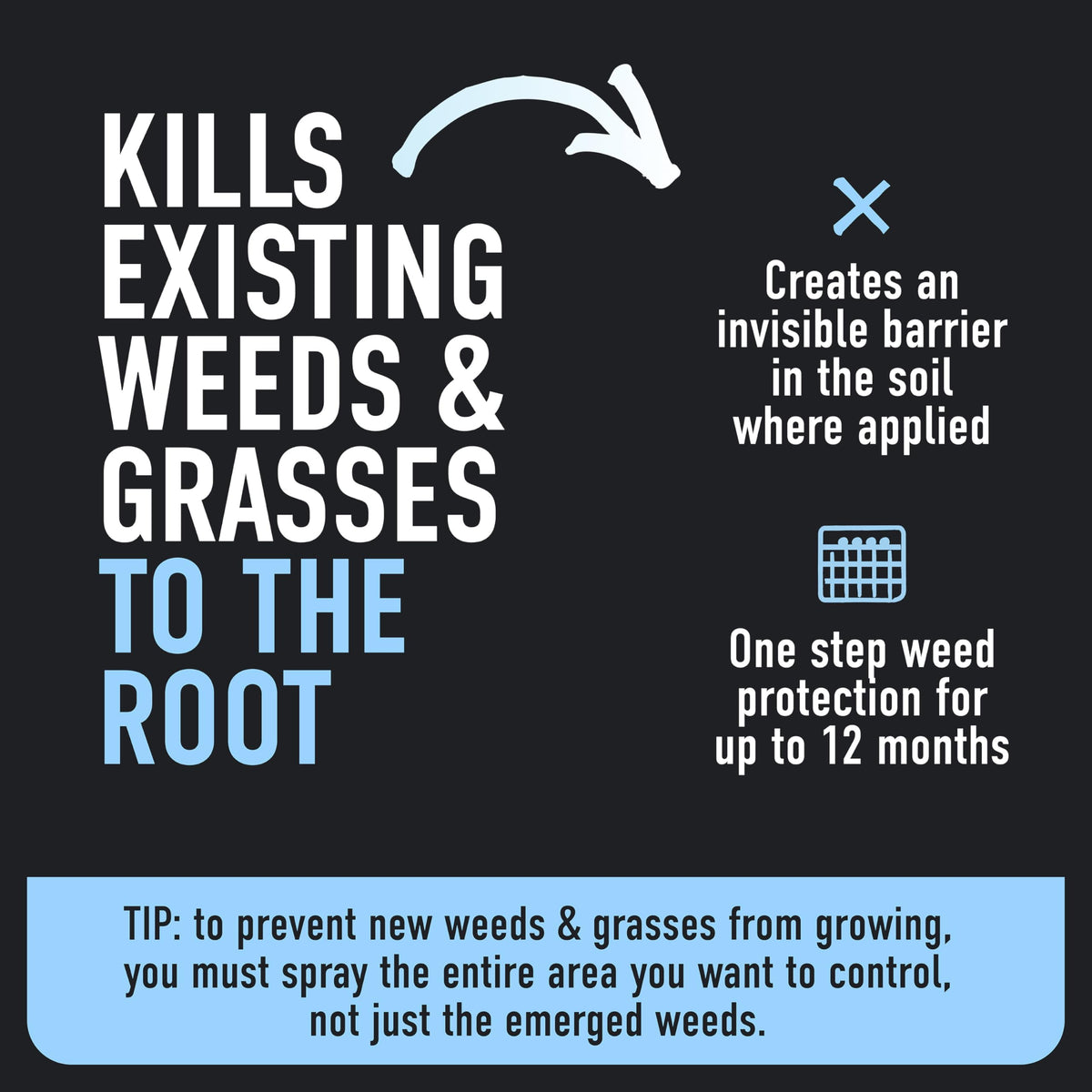 Weed & Grass Killer Plus 12 Month Preventer, 1 gal., Wand (Pack of 4) P2641