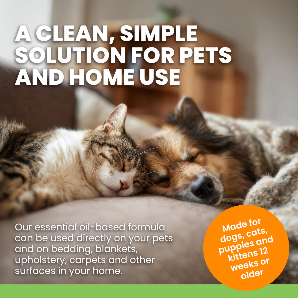 Plant-Based Flea & Tick Spray for Dogs & Cats Y481703