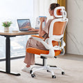Ergonomic Office Chair with Lumbar Support W2158