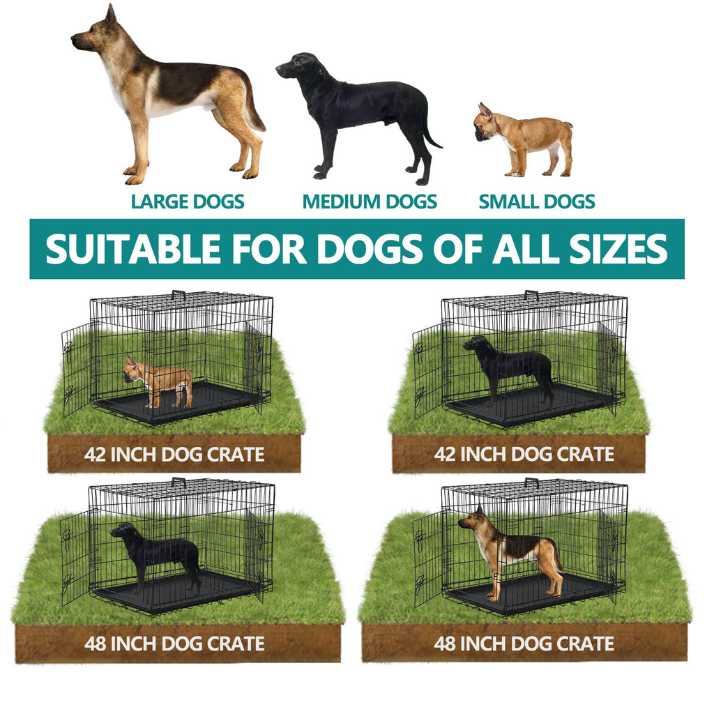 42 Inch Metal Wire Double-Door Folding Dog Crate with Tray U1046