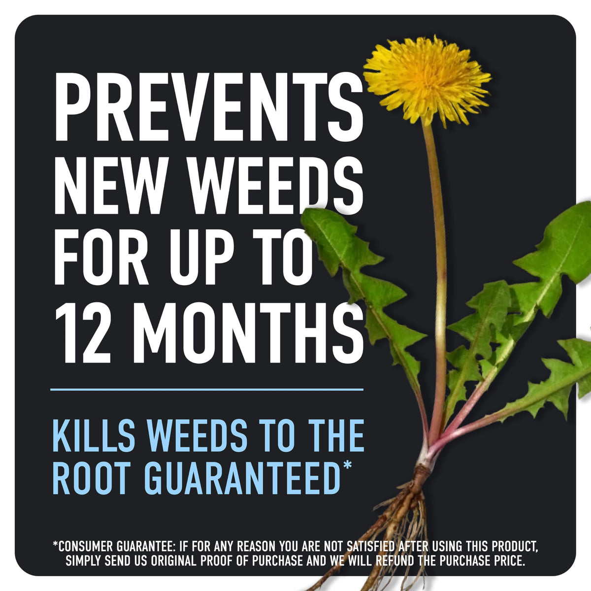 Weed & Grass Killer Plus 12 Month Preventer, 1 gal., Wand (Pack of 4) P2641