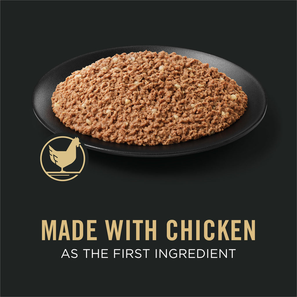 Wet Puppy Food Pate Chicken & Rice 12 Cans Y38863
