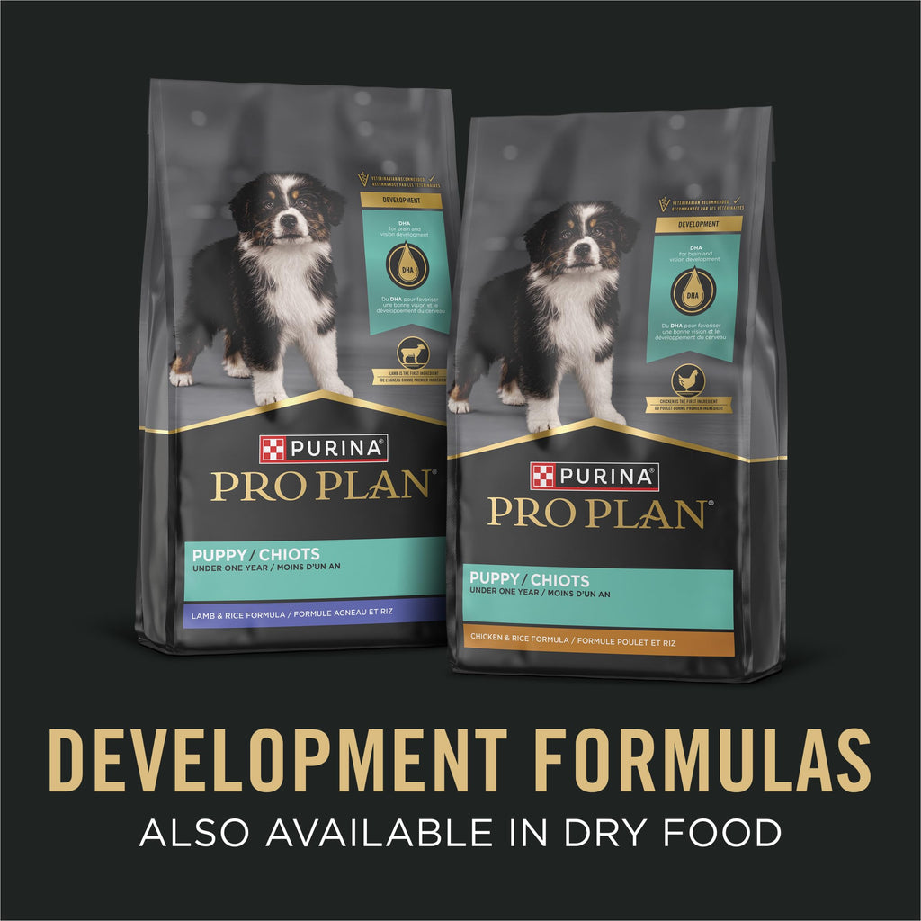 Wet Puppy Food Pate Chicken & Rice 12 Cans Y38863