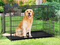 48 Inch Double-Door Dog Crate with Tray & Divider G230446
