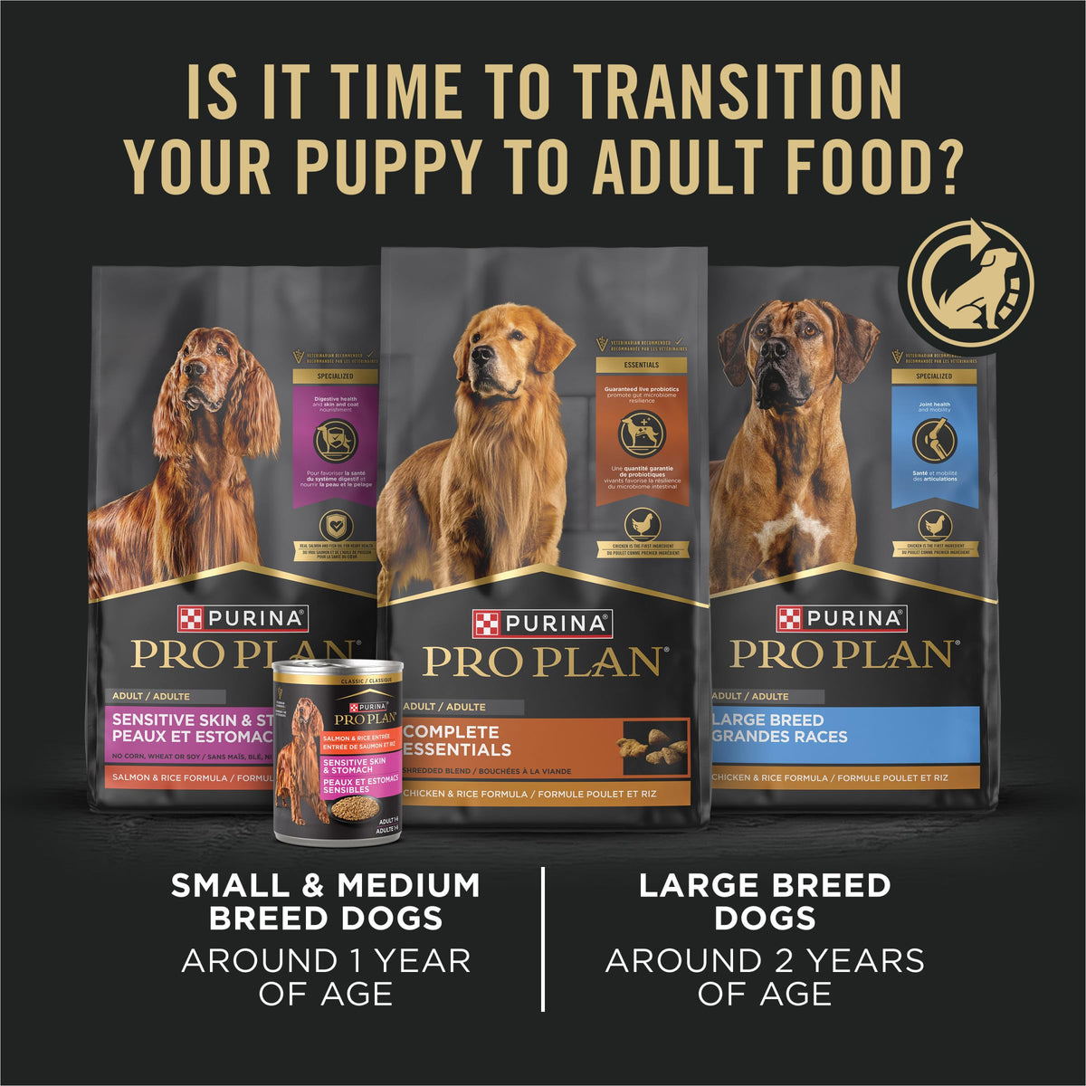Wet Puppy Food Pate Chicken & Rice 12 Cans Y38863