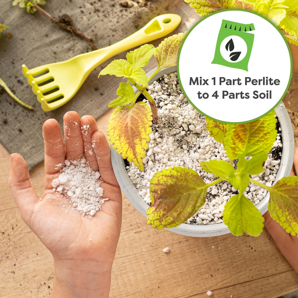 Organic Perlite 4 qt L45366
