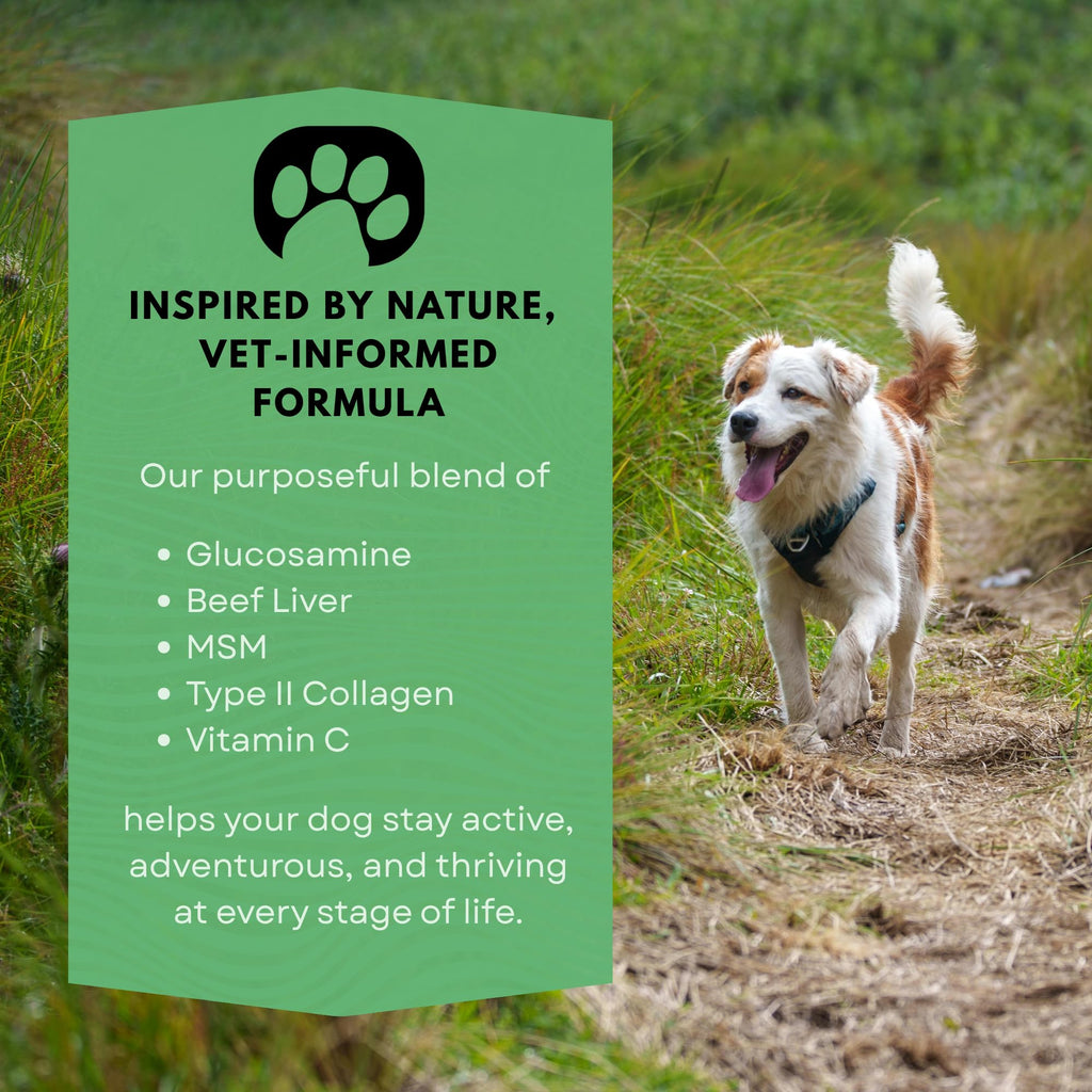Dog Joint Supplement with Glucosamine M362045