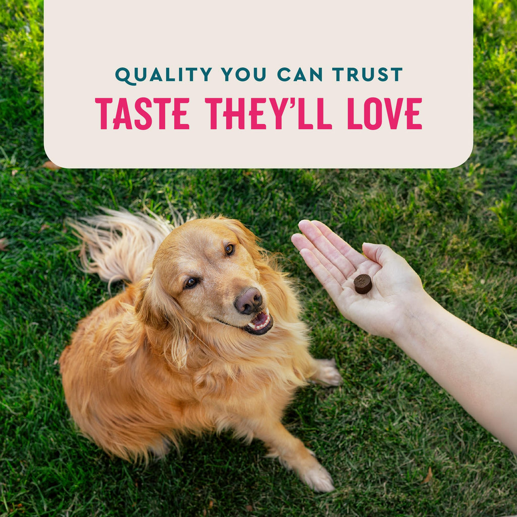 60 Count Dog Multivitamin C81614