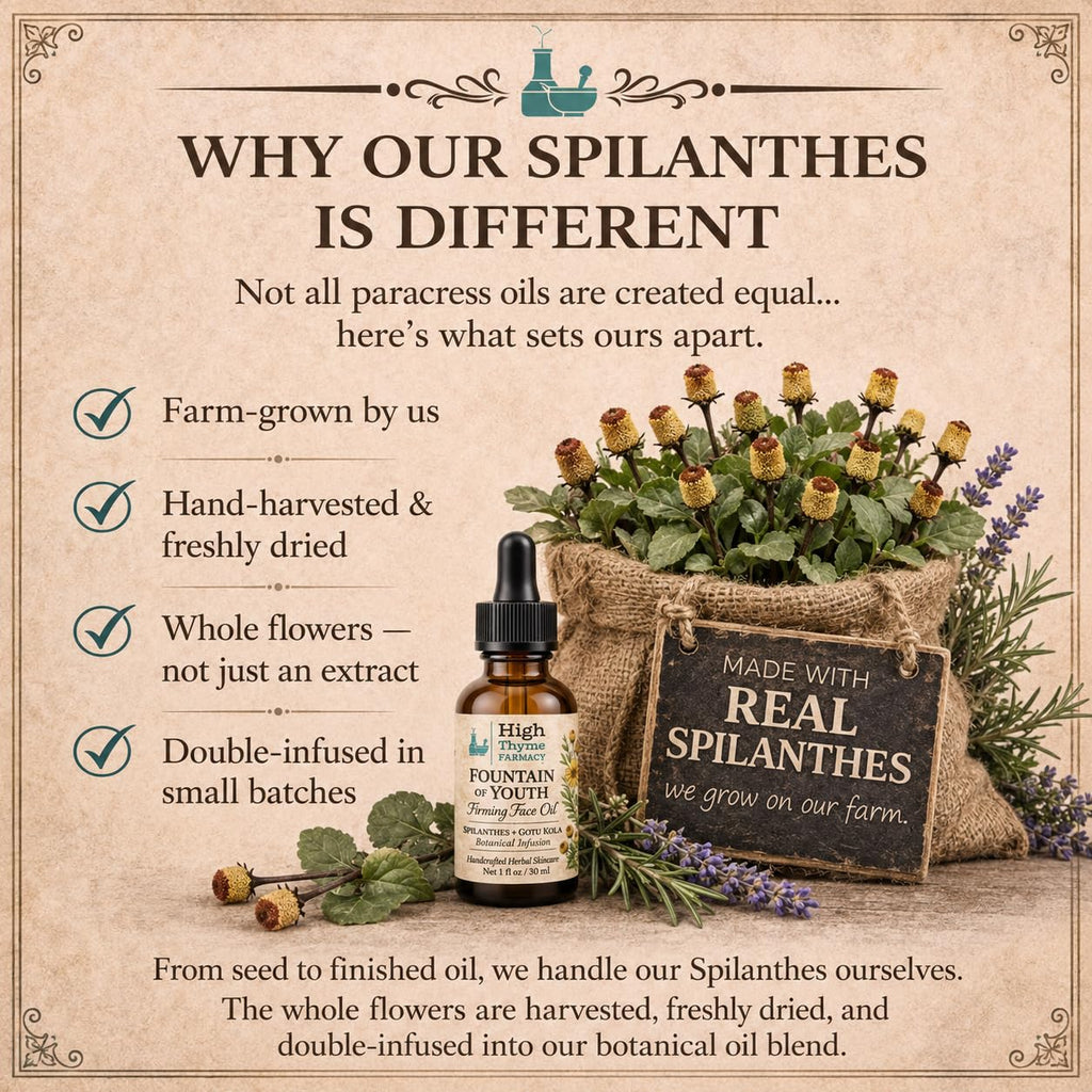 Firming Face Oil with Spilanthes & Gotu Kola, 1 oz D766168