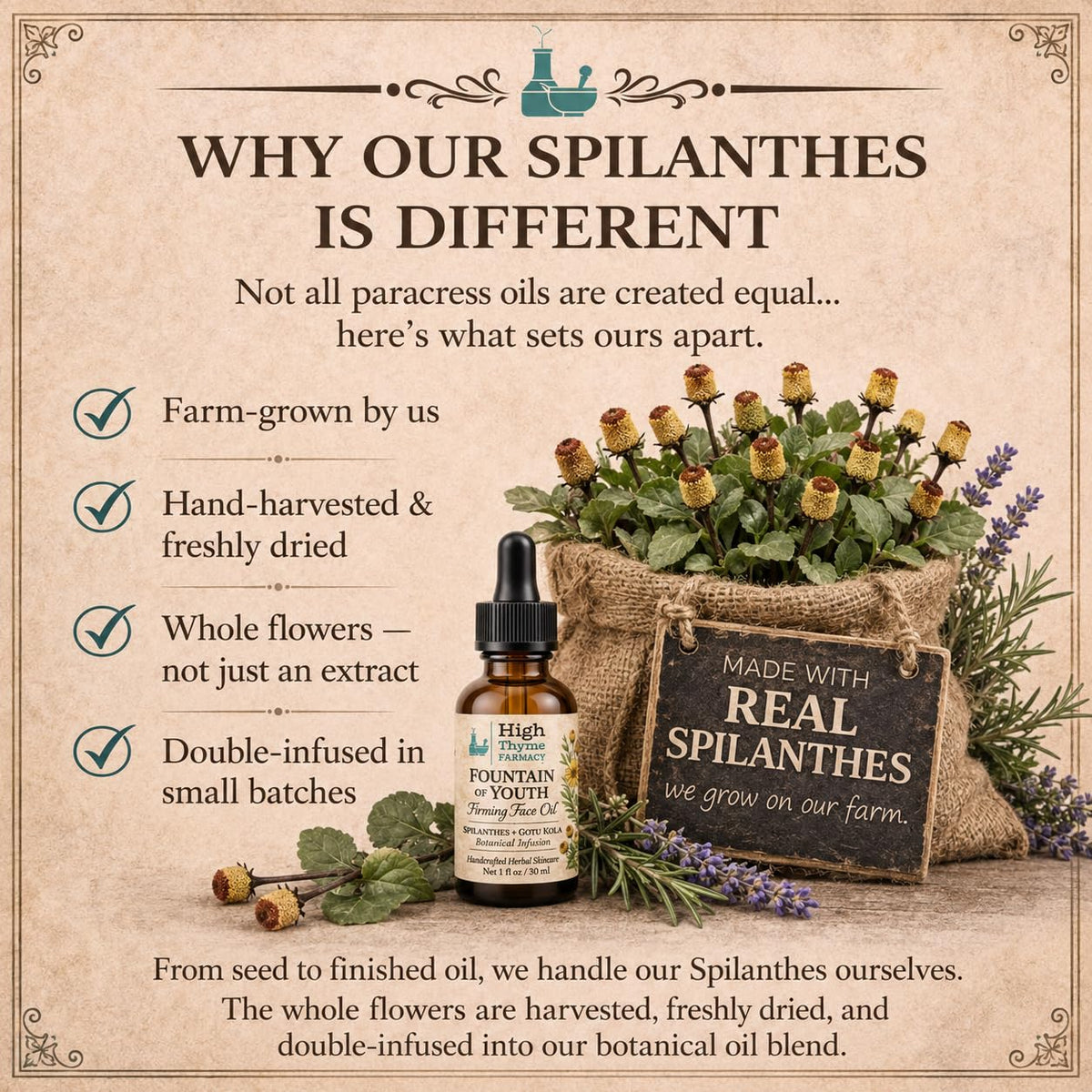 Firming Face Oil with Spilanthes & Gotu Kola, 1 oz D766168