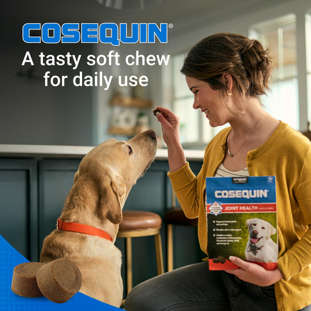 Dog Joint Supplement Soft Chews 60ct R581