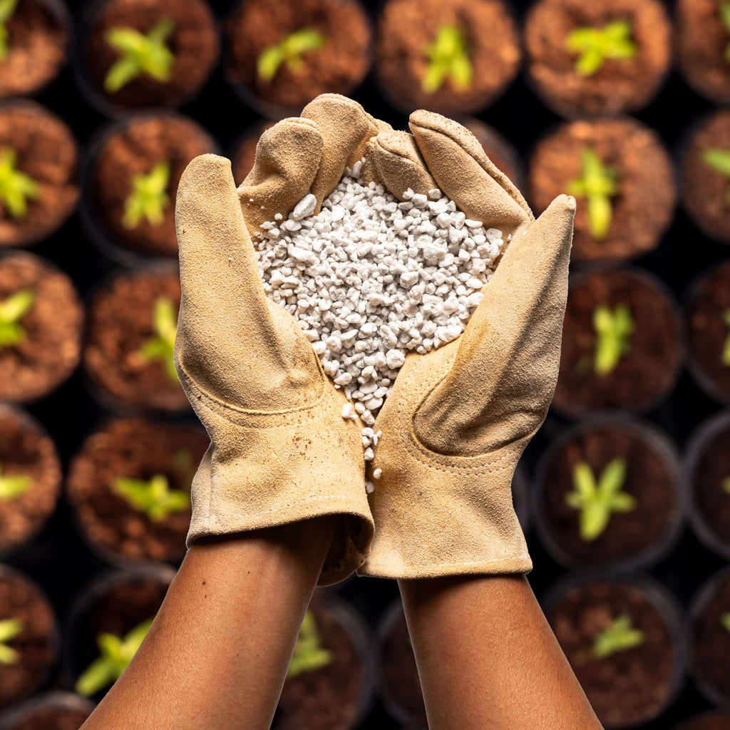 4 Cubic Ft Organic Perlite Soil Amendment W142232